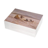 The Howl of the Weather - Postcard Bundle
