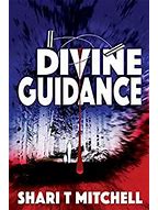 Divine Guidance: A Murder Mystery with a Paranormal Twist